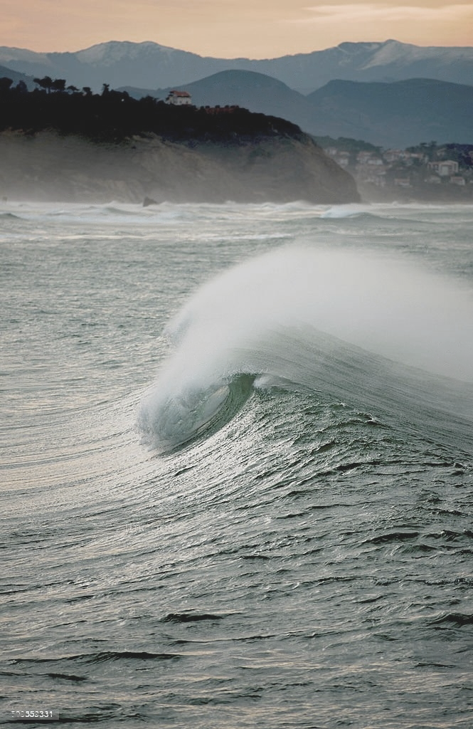 Belha Collection | Le groupe